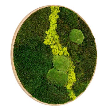 Vintlux Mosschilderij Rond Ongelakt Eiken - Uppsala Lentegr, Nieuw