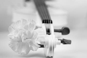 Viktoria Farkas - The Soul is Like a Violin - Premium Canvas