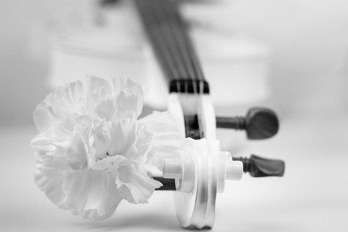 Viktoria Farkas - The Soul is Like a Violin - Premium Canvas, Antiek en Kunst, Kunst | Designobjecten
