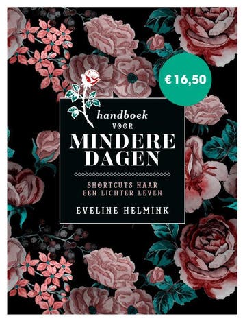 Handboek voor mindere dagen - Eveline Helmink 9789021584454, Verzenden, Gelezen, Eveline Helmink
