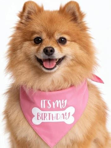 Honden verjaardagshoedje goud wit roze 1, Ophalen of Verzenden, Nieuw, Overige typen