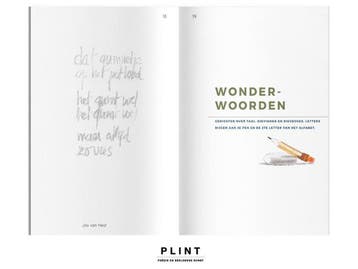 DICHTER. / DICHTER. 2 / SCHOOL / Plint 9789059306950, Verzenden, Zo goed als nieuw, De dichters van DICHTER 2