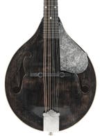 Bottone Smokey M A Style Mandolin 2025 (Instrument,A-Style), Ophalen of Verzenden, Zo goed als nieuw
