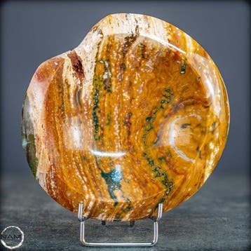 Zeldzame natuurlijke Ocean Jasper schelp – Een kleurrijk