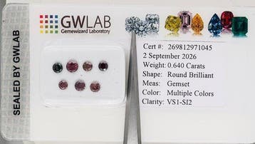 7 pcs Diamant (Kleurbehandeld) - 0.64 ct - Rond Roze, Bruin,, Nieuw