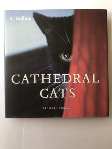 Cathedral Cats - Richard Surman 9780007235636, Verzenden, Gelezen, Richard Surman