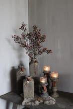 Brynxz Alnus / Rozenbottel tak brown 80 cm, Ophalen of Verzenden, Nieuw