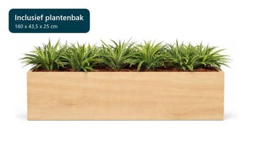 Kunstplantenpakket Almere met plantenbak, 160 cm, Huis en Inrichting, Ophalen of Verzenden, Overige soorten, 150 tot 200 cm