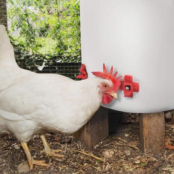 12x Automatische Kippen Drinkbakjes met Nippel - Kippen, Qua, Verzenden, Nieuw