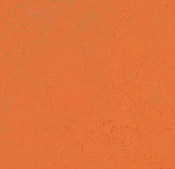 Forbo Marmoleum Decibel 373835 orange glow, Huis en Inrichting, Verzenden, Nieuw