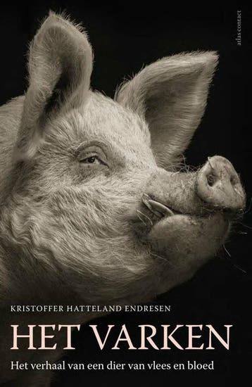 Het varken (Goed), Verzenden, Gelezen, Kristoffer Hatteland Endresen