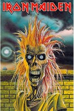 Iron Maiden Iron Maiden Textielposter officiële merchandise, Verzamelen, Ophalen of Verzenden, Nieuw, Poster, Artwork of Schilderij