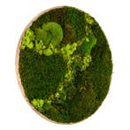 Vintlux Mosschilderij Rond 120 cm Ongelakt Eiken - Svendbor, Nieuw