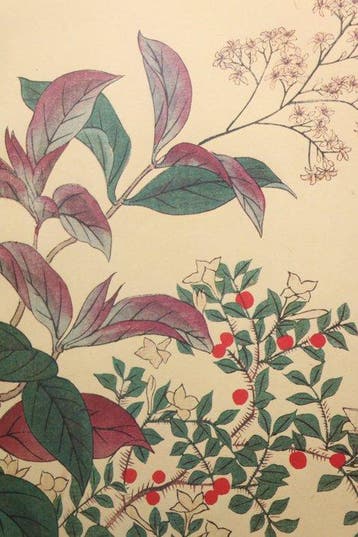 Sakai Hoitsu, Suzuki Kiitsu - Shiki no Hana (Flowers of the