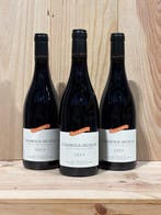 2023 David Duband - Chambolle Musigny - 3 Flessen (0.75, Verzamelen, Nieuw