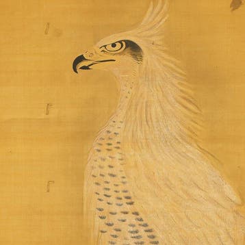 White Hawk on Rock with Box - Kano Tsunenobu