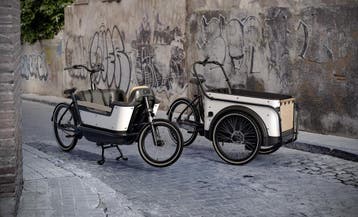 Elektrische bakfiets ROYAL CARGO BIKE twee en driewieler DTC, Overige merken, 4 kinderen of meer, Huif, Nieuw