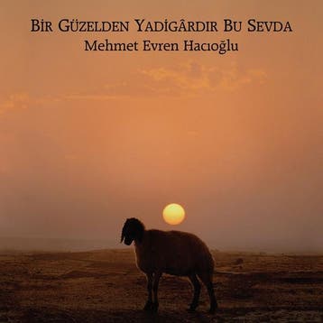 cd - mehmet evren hacioglu - BIR GUZELDEN YADIGARDIR BU S..., Verzenden, Zo goed als nieuw