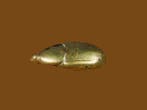 Oud gewicht om het figuurlijke goud te wegen. Hanneton. -
