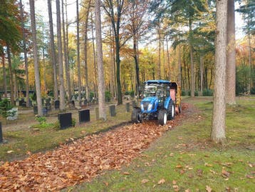 Aanleg/onderhoud grasveld , Grondwerk , paardrijbak  Epe eo., Tuinonderhoud of Snoeiwerk