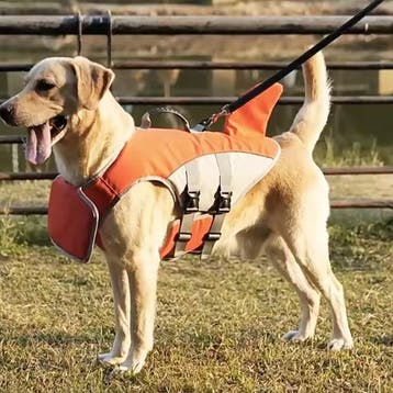 Honden Zwemvest met Haaienvin –Veilig, Comfortabel en Verste, Verzenden, Nieuw