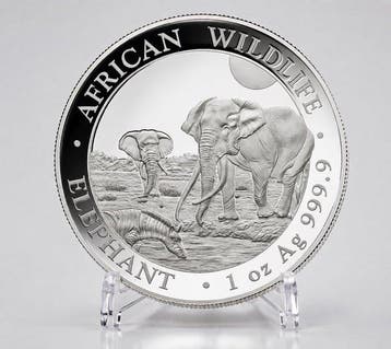 Somalië. 100 Shilling 2026 – African Wildlife Series –