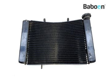 Radiateur Triumph Street Triple R 675 2007-2012, Verzenden, Gebruikt
