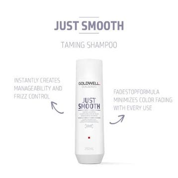 Goldwell Dualsenses Just Smooth Taming Shampoo, Verzenden, Nieuw