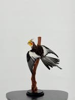 Valkparkiet - Geringd Taxidermie volledige montage -, Nieuw
