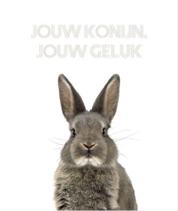 Jouw konijn, jouw geluk - Vianne Scharloo 9789083031507, Boeken, Verzenden, Gelezen, Vianne Scharloo