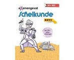 Boek eXamengevat Scheikunde HAVO 2022-2023 (examenstofbundel, Verzenden, Zo goed als nieuw