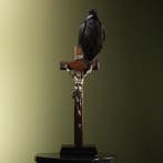 Raaf op Kruis Taxidermie Opgezette Dieren By Max, Verzamelen, Dierenverzamelingen, Ophalen of Verzenden, Nieuw, Vogel, Opgezet dier