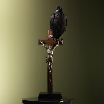 Raaf op Kruis Taxidermie Opgezette Dieren By Max, Ophalen of Verzenden, Nieuw, Vogel, Opgezet dier
