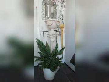 Te huur: Huis Churchilllaan in Den Bosch, Den Bosch, Noord-Brabant