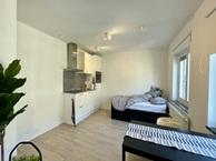 Studio Condéstraat in Maastricht, Overige soorten, Limburg
