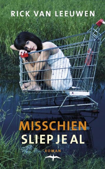 Misschien sliep je al - Rick van Leeuwen 9789060058930, Verzenden, Zo goed als nieuw, Rick van Leeuwen