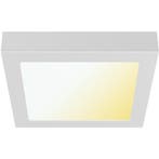LED Downlight Opbouwspot - LED Paneel Slim - Brinton Thin -, Ophalen of Verzenden, Nieuw, Minder dan 50 watt, Lamp met armatuur