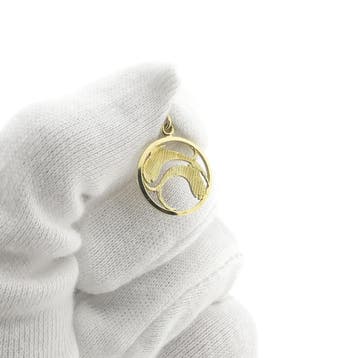 Gouden sterrenbeeld hanger; Vissen (Hanger of bedel), Ophalen of Verzenden, Gebruikt, Goud, Overige merken