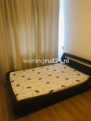 Woningruil - Hoflaan 335 - 2 kamers en Zuid-Holland, Zuid-Holland