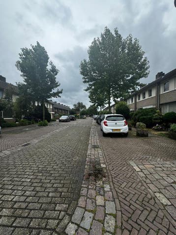 Te huur: Huis Dopheide in Eindhoven, Noord-Brabant, Eindhoven