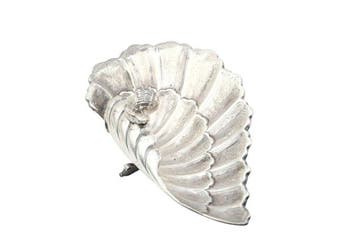 Decoratief dienblad - Portugal - Sculpturale Schelp
