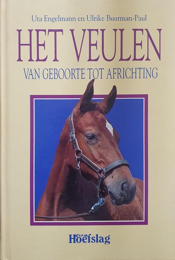 Het veulen 9789038406176 Engelmann, Boeken, Hobby en Vrije tijd, Gelezen, Verzenden
