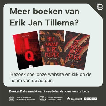 Woodhenge 9789044844924 Erik Jan Tillema, Verzenden, Zo goed als nieuw, Erik Jan Tillema