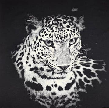 ARAZZO Predator Noir in Gobelin-weefsel - 140x140 cm -