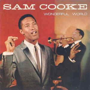 cd - Sam Cooke - Wonderful World, Cd's en Dvd's, Cd's | Overige Cd's, Zo goed als nieuw, Verzenden