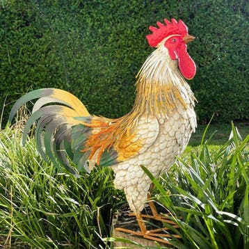 sculptuur, Prachtige haan - 49 cm - IJzer
