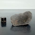 Rumuruti meteoriet NWA 13685 END CUT - 31.5 g