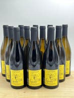 2025 Vincent Gaudry Sauvignon GaudryOlle - Loire - 12, Nieuw