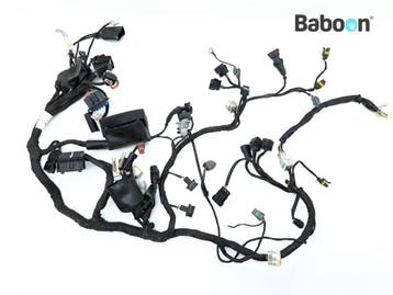 Kabelboom Benelli Leoncino 500 2017-2019 (92000P180005), Motoren, Verzenden, Gebruikt