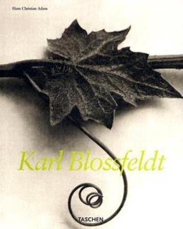 BLOSSFELDT - H. ADAM 9783822834817, Verzenden, Gelezen, H. ADAM